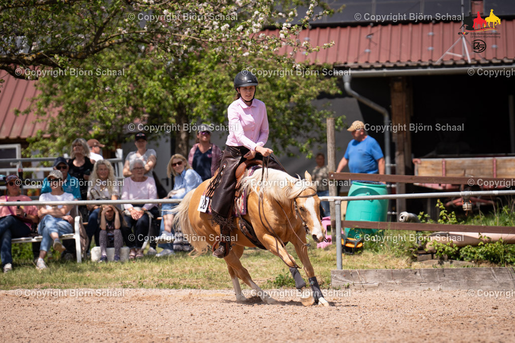 LMB09391 | BS-foto