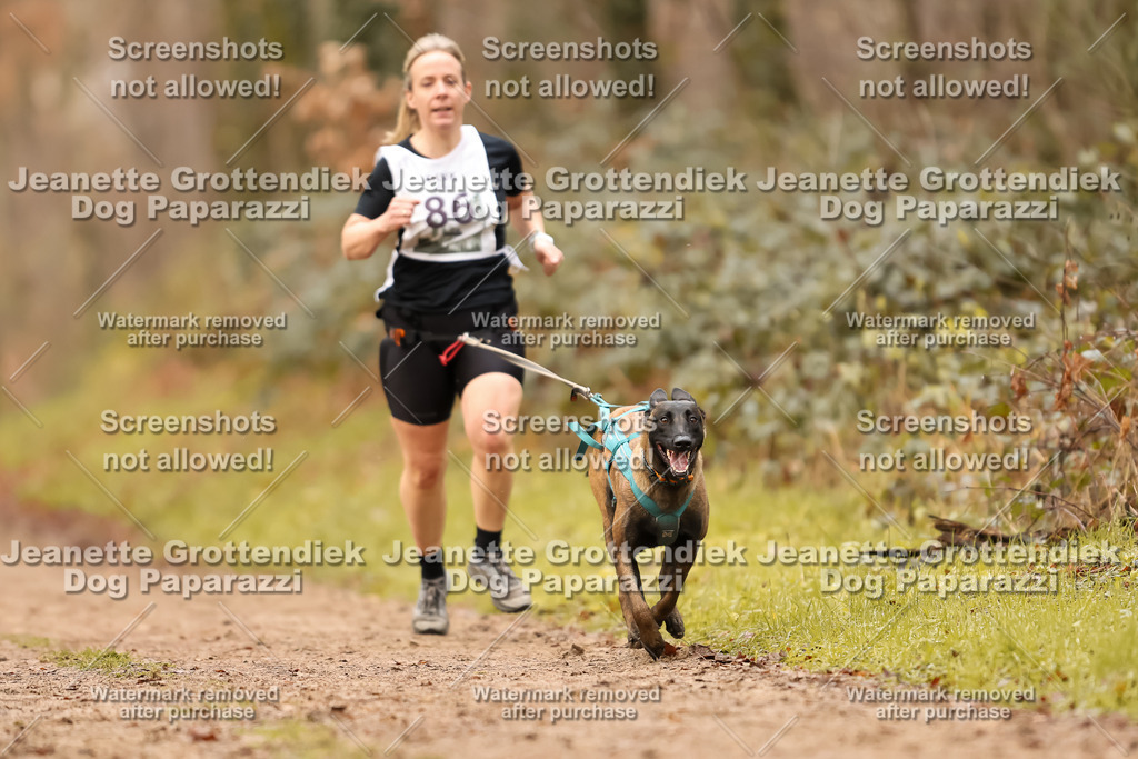 Dog Paparazzi - Speedhunter Mannheim  2025-240 | Dog Paparazzi Jeanette Grottendiek Fotografie & Videografie