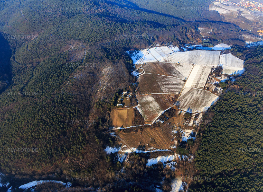 Luftbild: Haardtrand-Wolfsteig im Schnee in Pleisweiler-Oberhofen im Bundesland Rheinland-Pfalz in Deutschland. Foto: IMG_096429.jpg vom 22.01.2017 durch Werner Riehm/FLY-FOTO.de