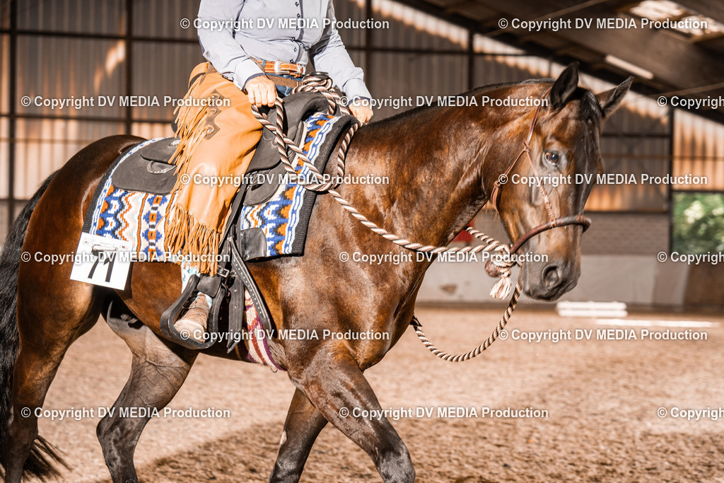 ZH100564 | dv-media-shop - Realisiert mit Pictrs.com