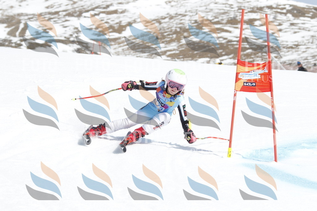 _U3G1603 | holidayphoto