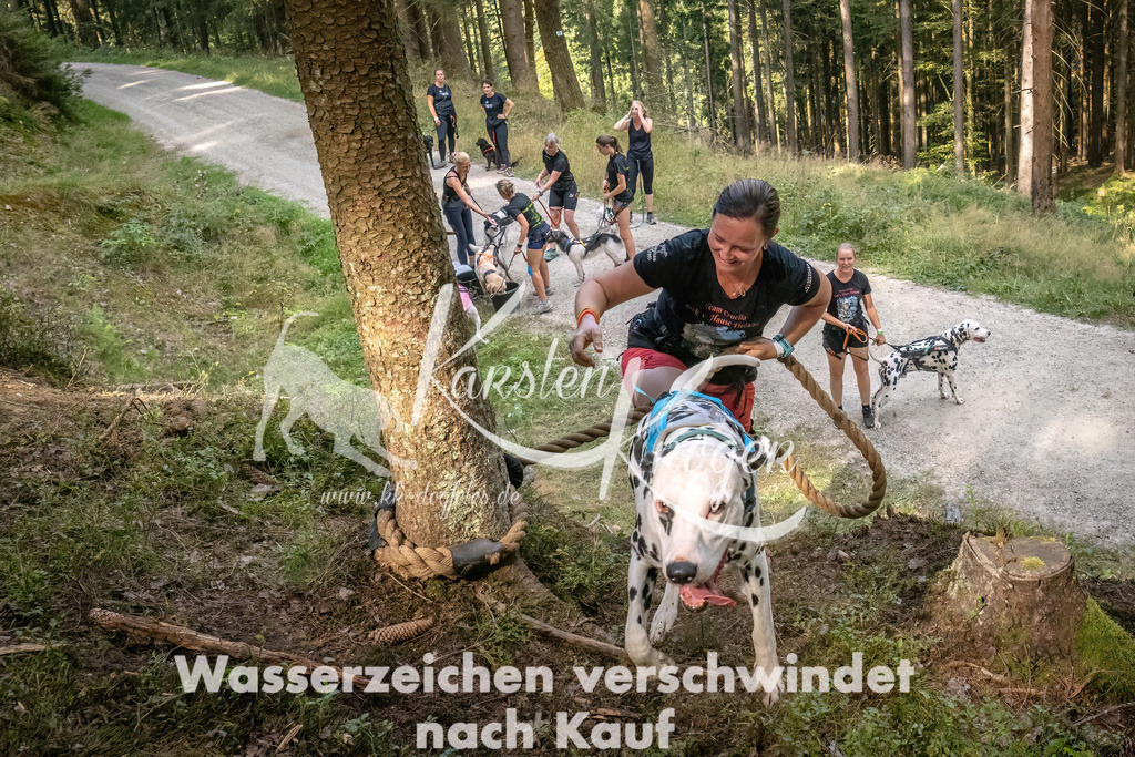 1046_ZZ92223 | kk-dogfotos