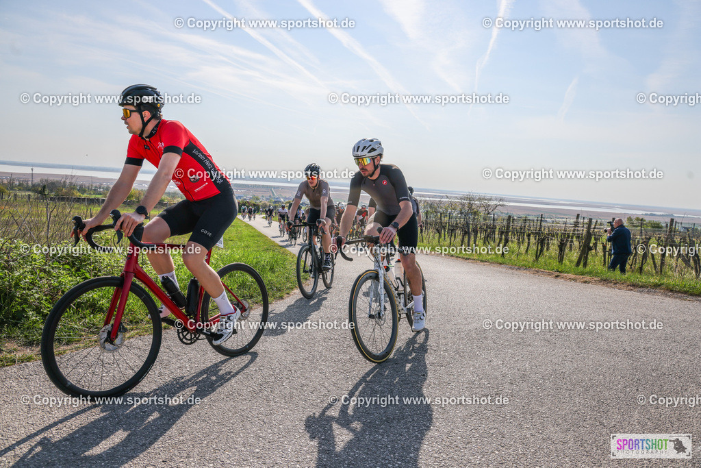 007A9594 | Neusiedlersee Radmarathon #neusiedlerseeradmarathon #neusiedlersee #nrm26 #yourpictrs #sportshot_your_pictrs