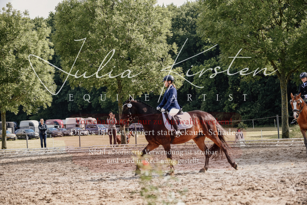 DSC_9151 | Pferde- und Turnierfotografie in Westsachsen. Pferdeportraits, Auftragszeichnungen und intuitive Kunst.