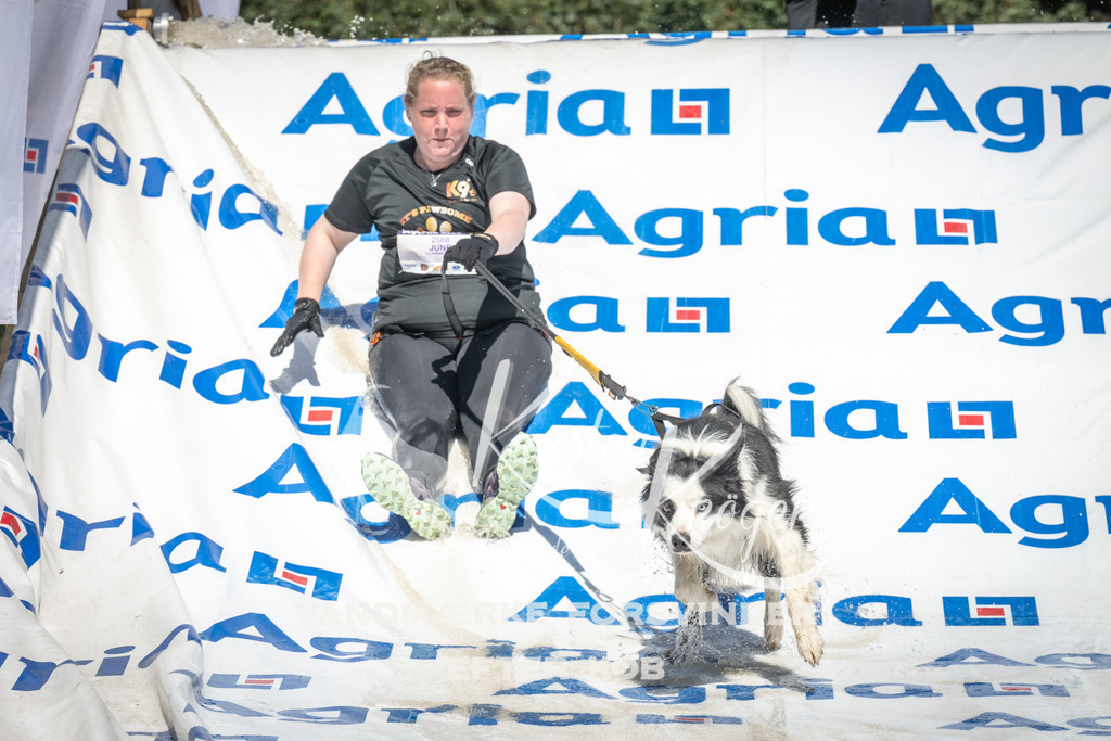 1434_ZZ94964 | kk-dogfotos