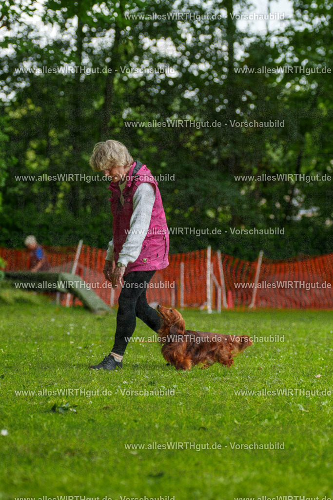 @allesWIRTHgut_Tierfotografie - www.allesWIRTHgut.de - 090748-7R506552 | Professionelle Tierfotografie in Mönchengladbach von Daniel Wirth (allesWIRTHgut). Liebevolle & natürliche Bilder von Hunden & Katzen für unvergessliche Erinnerungen.