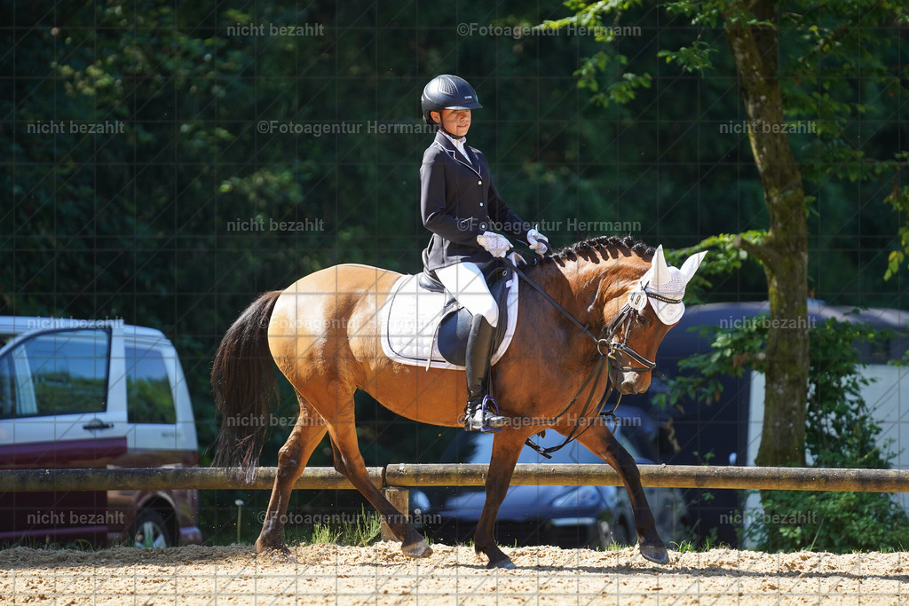 20240706-FAH04942 | Grafing Turnierfotos, Reitverein Ebersberg, Turnierfotografen Bayern, reitsportbilder, Pferdefotograf, reitsportfotograf, Sportbilder, Reitsportfotografie, Fotoagentur Herrmann, Turnierfotograf