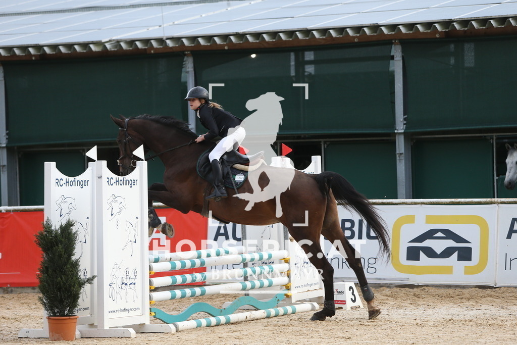 DL2Q0028 | Willkommen bei Brunnmayr - Design & Fotografie – Ihrem Spezialisten für Reitturniere und Pferdeveranstaltungen in Oberösterreich, Salzburg und Bayern! Seit über 17 Jahren sind wir leidenschaftlich dabei.
