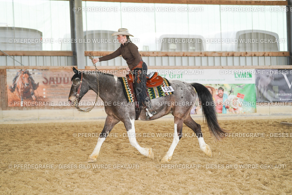 DSC02135 | Pferdegrafie