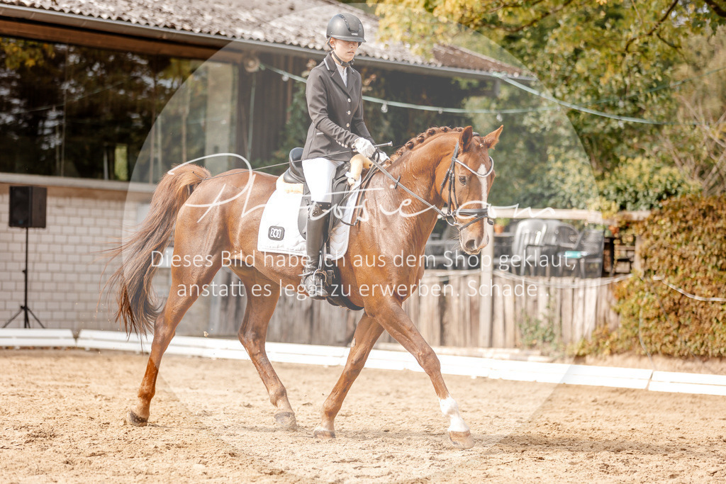 3I6A3899 | Stimmungsvolle Portraits und Reitsportfotografie im Ruhrgebiet und im Münsterland.

Pferdefotografie, Hundefotografie, Tierfotografie, Reportagen, Portraits von Tier und Mensch, Turnierfotografie in Bochum, Recklinghausen, Marl, Haltern am See, Dülmen.. - Realisiert mit Pictrs.com