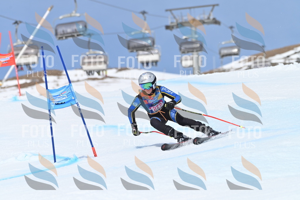 BGV_2292 | holidayphoto