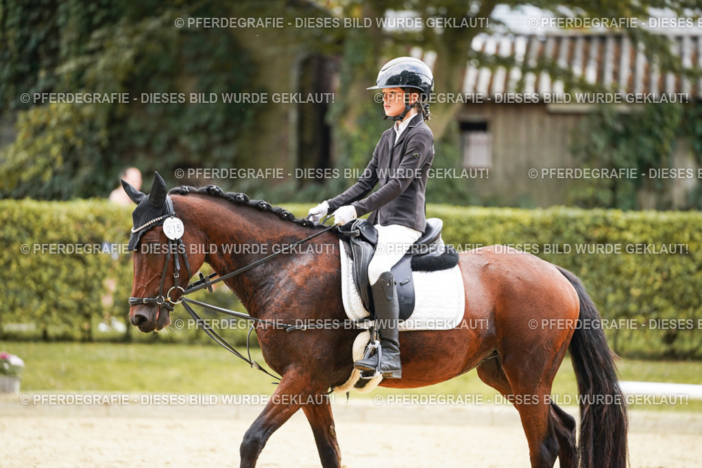 DSC00587 | Pferdegrafie