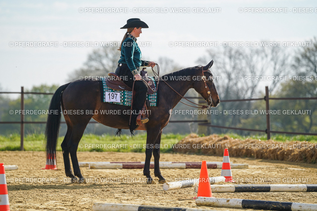 DSC00980 | Pferdegrafie