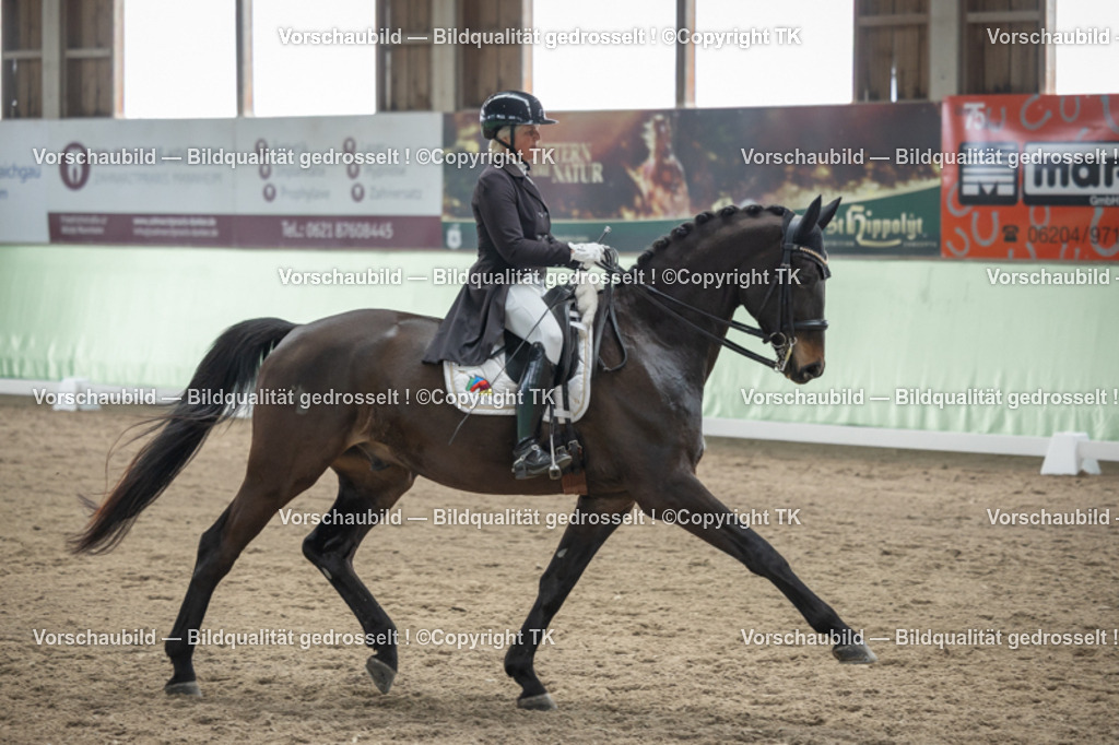 _D5A5154 | Emotionale Pferde- & People-Fotografie rund um Heidelberg, Leimen & Umgebung. Natürliche Fotos von Pferd, Mensch & Familie. Jetzt Termin sichern!