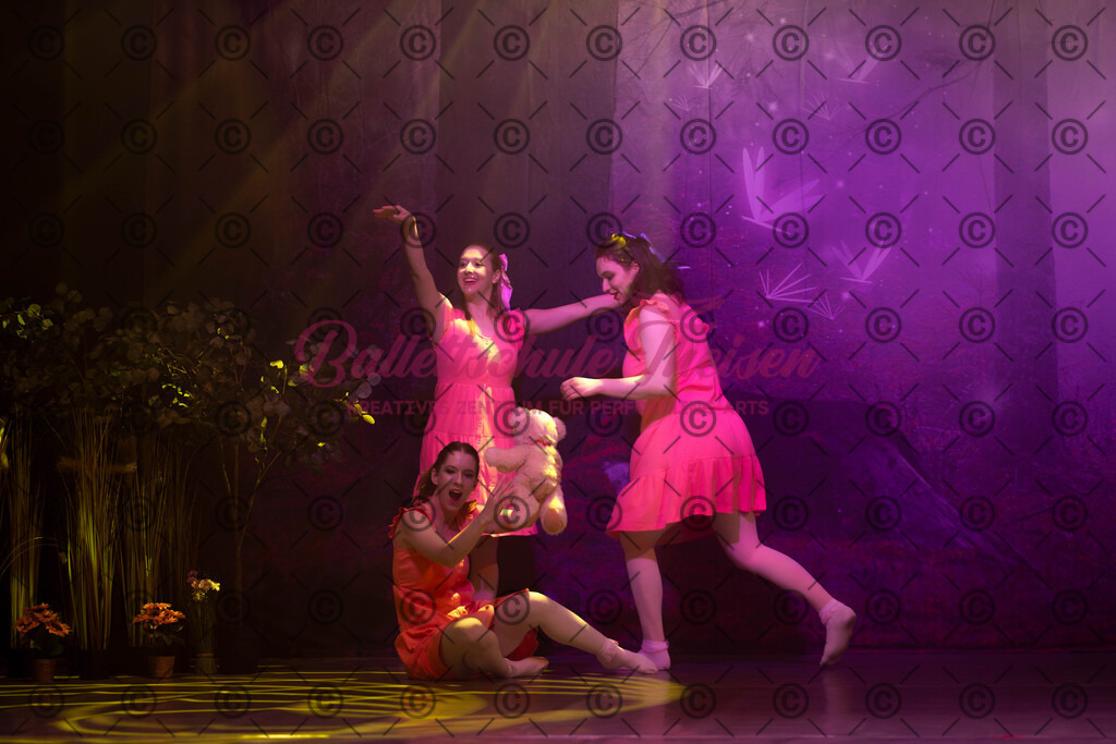 Ballettaufführung-1184 | Bildershop Lem'n Entertainment - Realisiert mit Pictrs.com