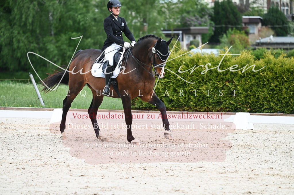 20230513_JK-Röhrsdorf-12-202 | Pferde- und Turnierfotografie in Westsachsen. Pferdeportraits, Auftragszeichnungen und intuitive Kunst.