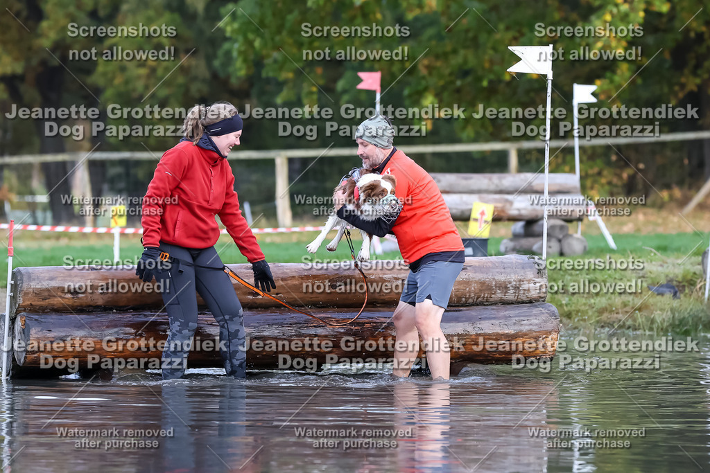 Dog Paparazzi - Strongdog 10-25-6672 | Dog Paparazzi Jeanette Grottendiek Fotografie & Videografie - Realisiert mit Pictrs.com