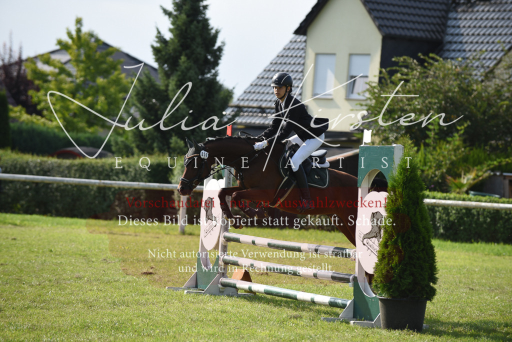 DSC_8924 | Pferde- und Turnierfotografie in Westsachsen. Pferdeportraits, Auftragszeichnungen und intuitive Kunst.