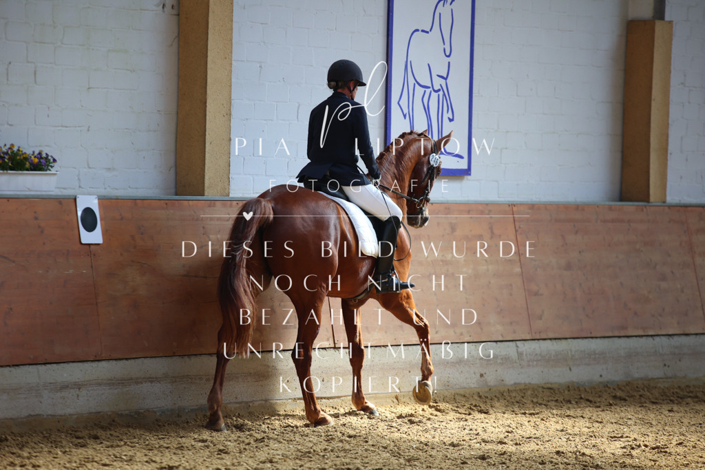 IMGT6849 | pl-fotografie