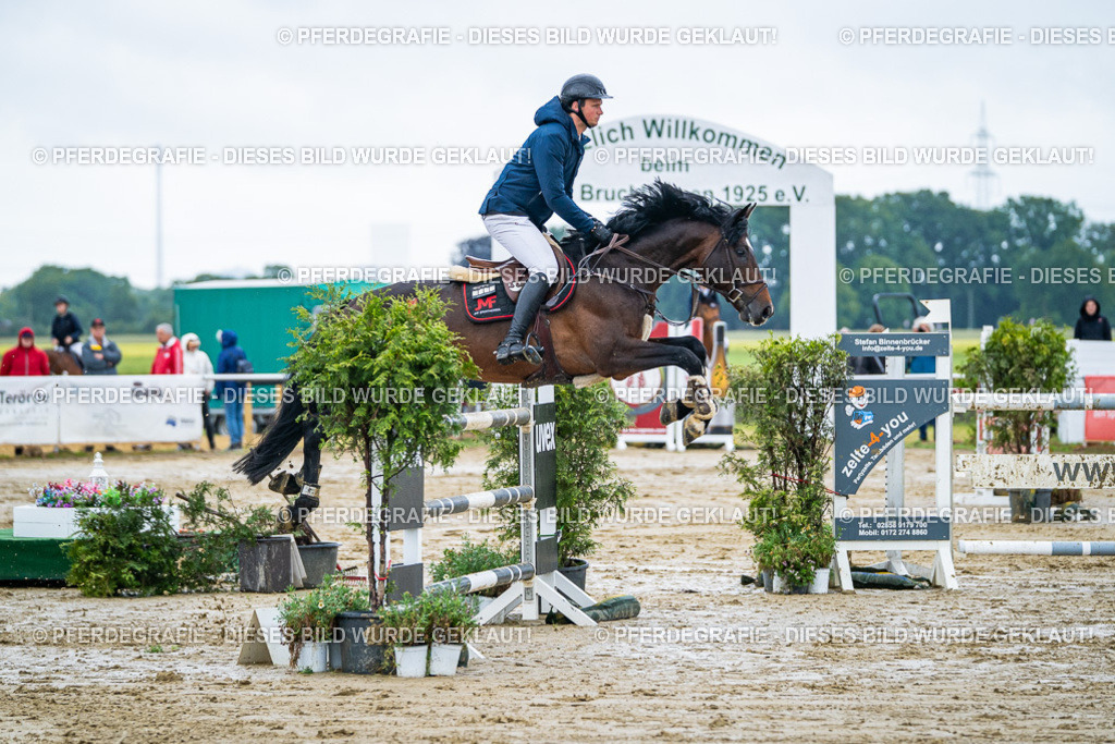 DSC03670 | Pferdegrafie