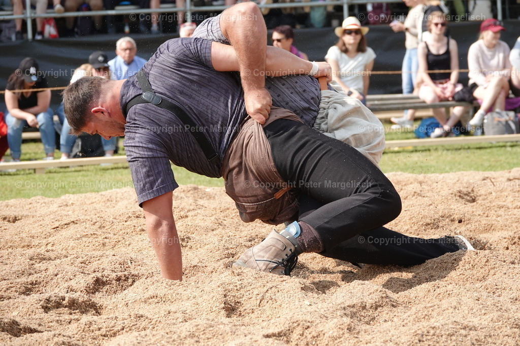 DSC04521 | Schwingen - Realisiert mit Pictrs.com