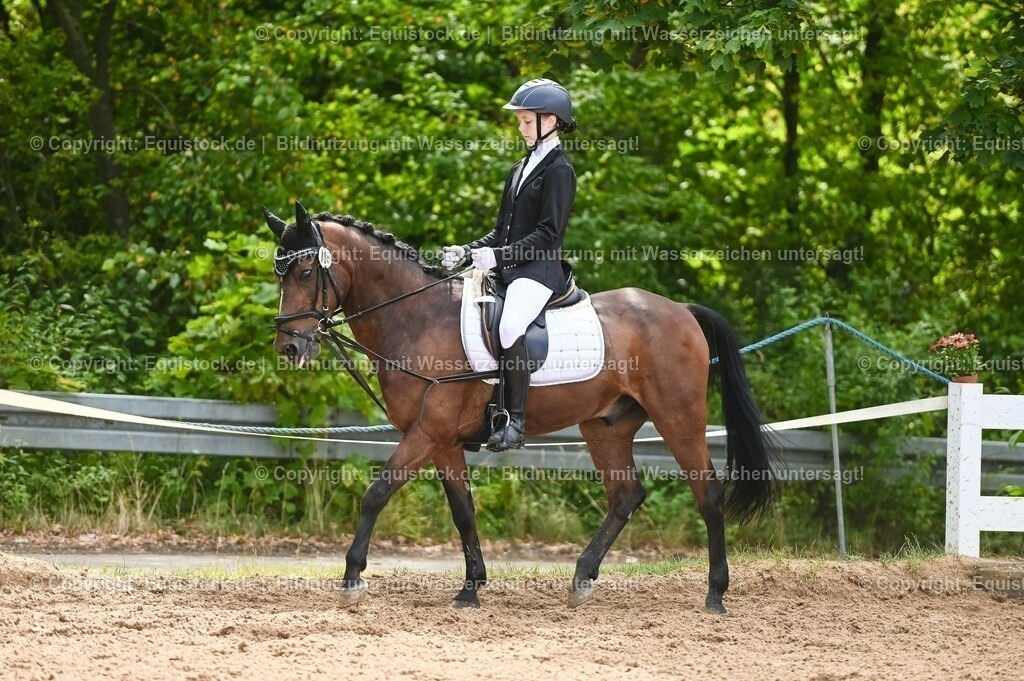 20230716_10-2_Reiter-WB Schritt - Trab - Galopp_0191 | equistock