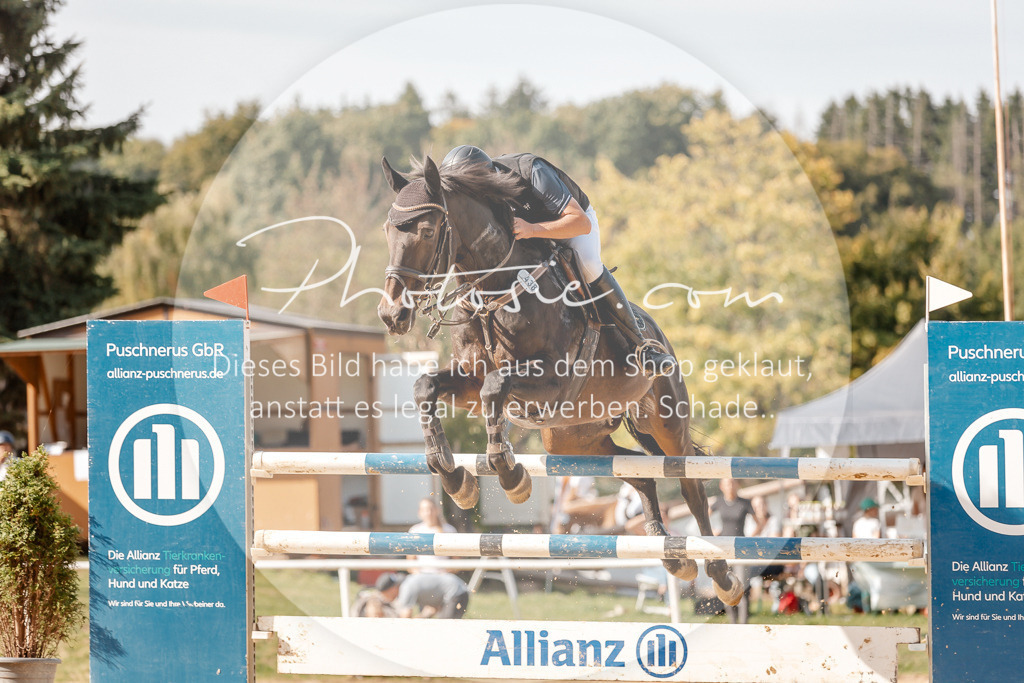 3I6A4694 | Stimmungsvolle Portraits und Reitsportfotografie im Ruhrgebiet und im Münsterland.

Pferdefotografie, Hundefotografie, Tierfotografie, Reportagen, Portraits von Tier und Mensch, Turnierfotografie in Bochum, Recklinghausen, Marl, Haltern am See, Dülmen.. - Realisiert mit Pictrs.com