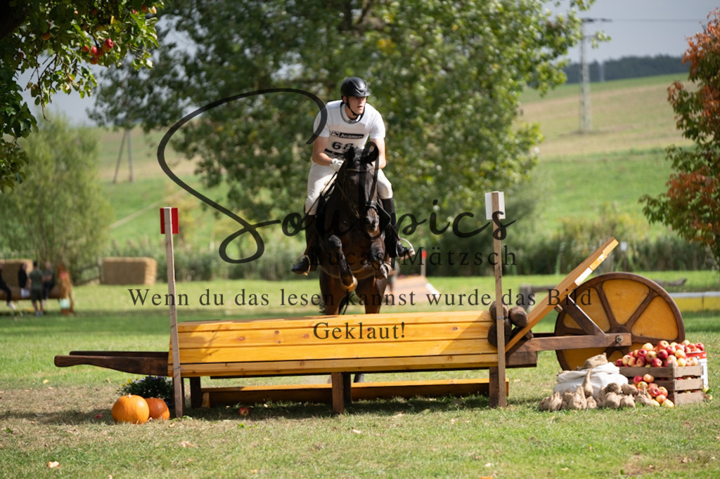 A7V03743 | Pferdefotograf