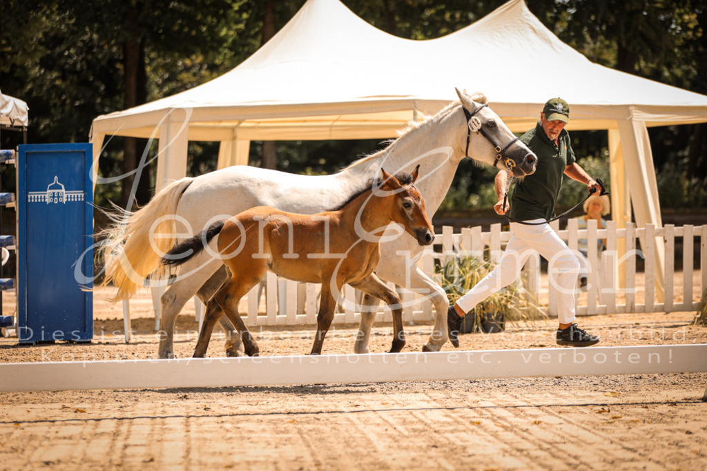 02.DoSR00157 | Leoni Ertmer Photography - Realisiert mit Pictrs.com