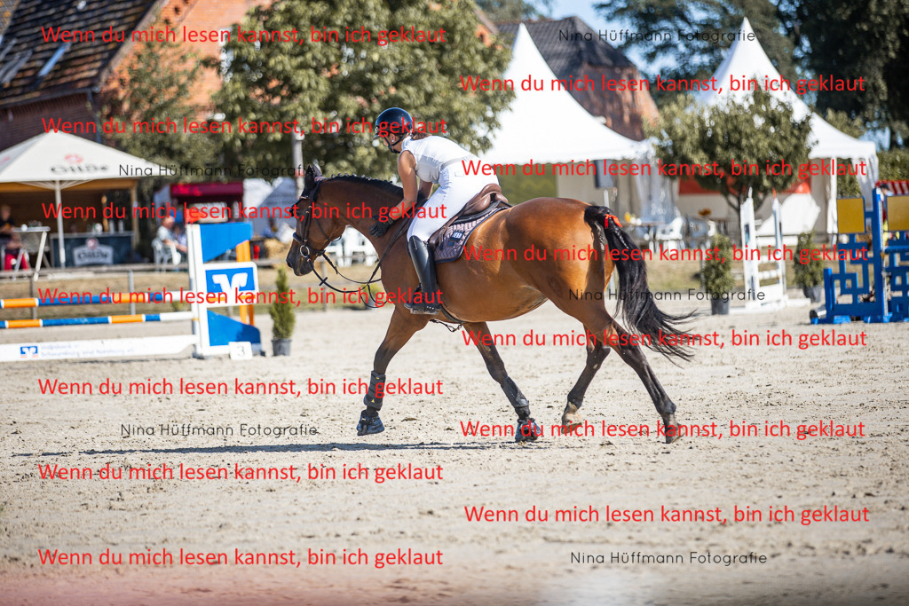 BK1A7284 | Turnierbilder Turnierfotos Nina Hüffmann Turnierfotografie Pferdefotografie Tierzeichnung Haustierzeichnung Pferdezeichnung Hundezeichnung Videograf  - Realisiert mit Pictrs.com