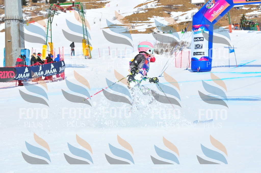 DSC_5243 | holidayphoto