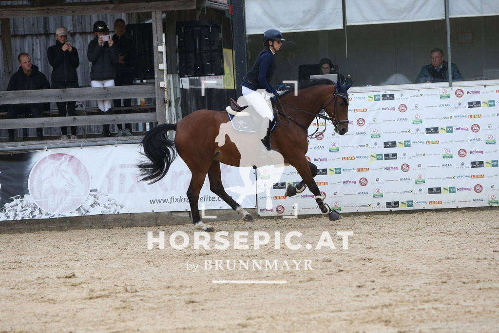 DL2Q0109 | Willkommen bei Brunnmayr - Design & Fotografie – Ihrem Spezialisten für Reitturniere und Pferdeveranstaltungen in Oberösterreich, Salzburg und Bayern! Seit über 17 Jahren sind wir leidenschaftlich dabei.