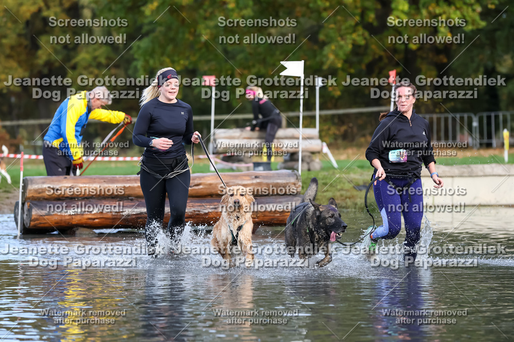 Dog Paparazzi - Strongdog 10-25-6970 | Dog Paparazzi Jeanette Grottendiek Fotografie & Videografie - Realisiert mit Pictrs.com