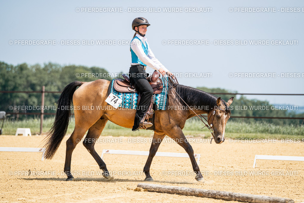 DSC00946 | Pferdegrafie