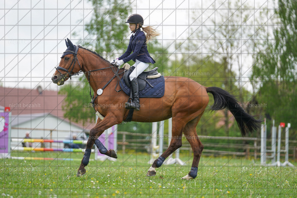 20240509-FAH02578 | Turnierbilder der Turnierfotografen Bayern, Pferdesport Fotografie, Reitsportbilder, Turnier Landberg am Lech, Turnierbilder bayern, Fotoagentur Herrmann