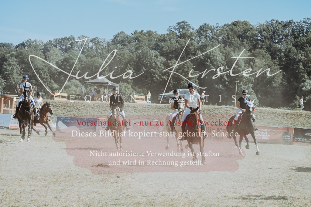 DSC_0168 | Pferde- und Turnierfotografie in Westsachsen. Pferdeportraits, Auftragszeichnungen und intuitive Kunst.