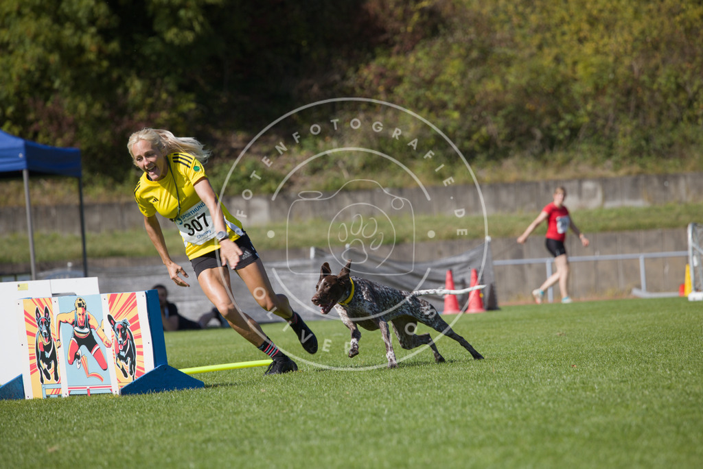 0L8A7802 | Hundefotografie, Tierfotograf, Pfotenfotografie, Fotoshooting Hund, Hunde Portrait, Hundesport, Hundeportraits, Heideshooting, Hunde, Sportfotograf, Hundefotograf, Turnierhundsport, THS,  - Realisiert mit Pictrs.com