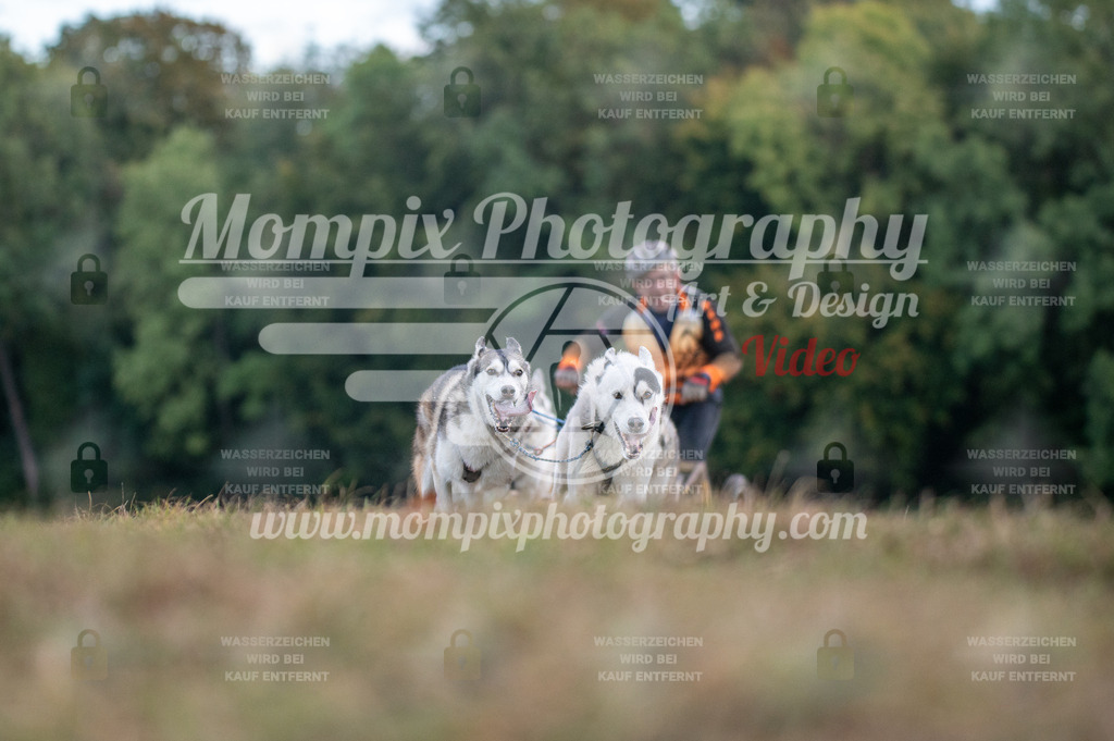 CDLBDB_15_10_2023_Dimanche-33 | PayLife