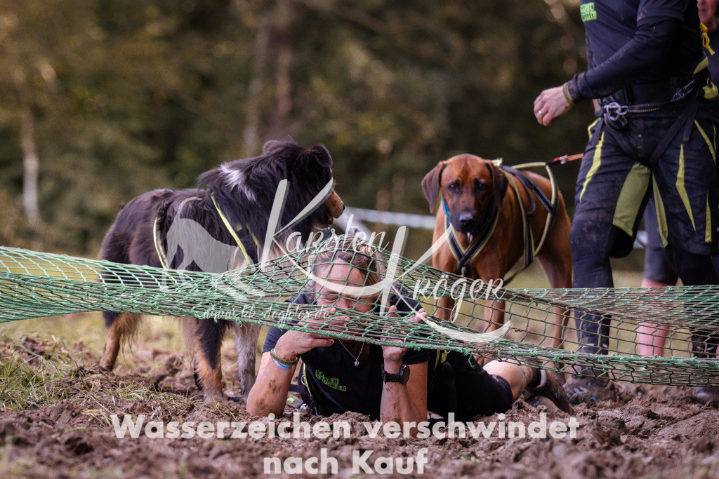 1252_ZZ91429 | kk-dogfotos