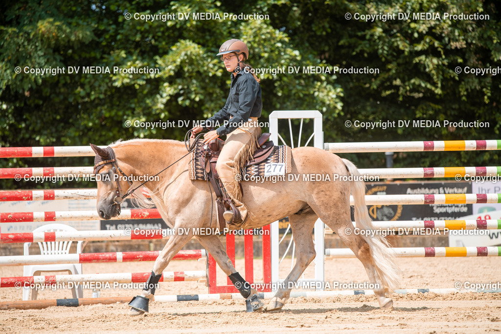 ZS2_8317 | dv-media-shop - Realisiert mit Pictrs.com