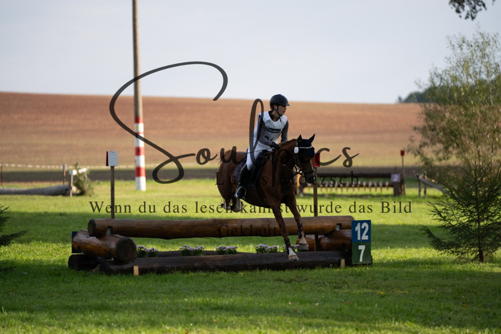 A7V03077 | Turnier/Reitfotograf