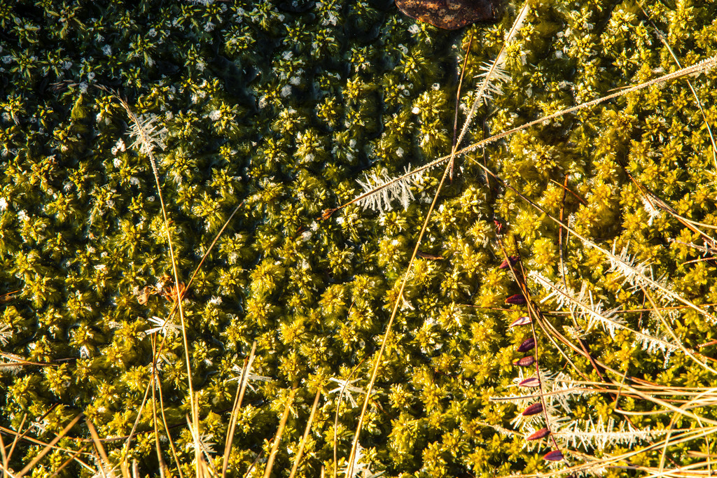 IU2A1484 | ap-design // andreas plenk - Realisiert mit Pictrs.com