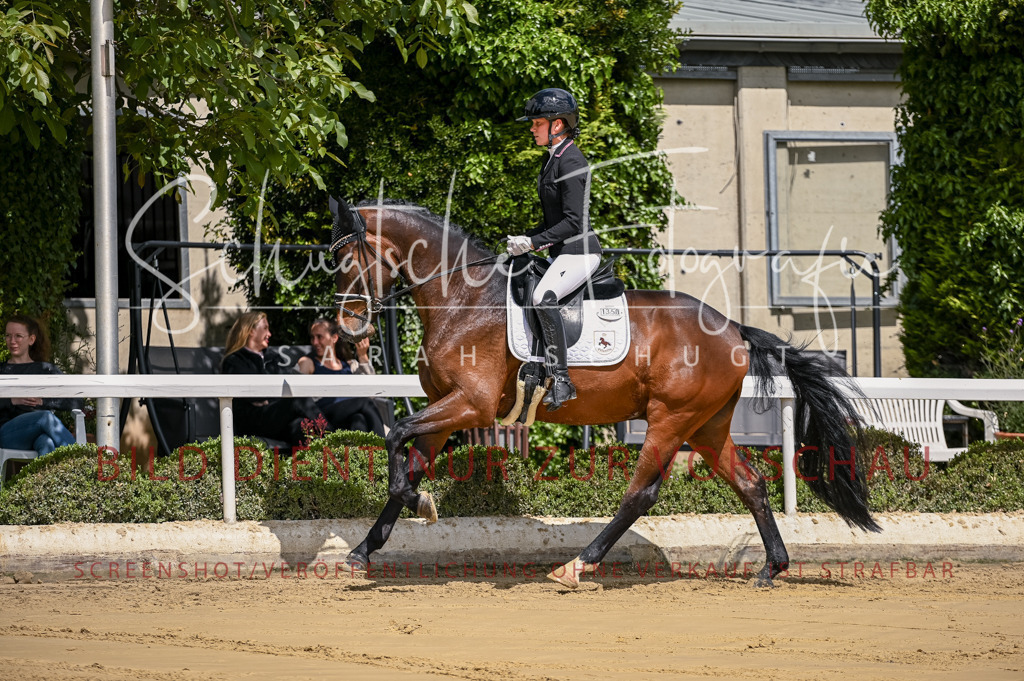 Schugtsche-Aluta25-48.Reitpferfdeprf.-45 | Schugtsche Fotografie - Realisiert mit Pictrs.com