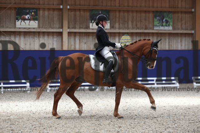 Zeutern_2023_Dressur_Kl.S_Prix St.Georges_Amateure_Nadja Lachemann_Lissardo (4) | Alle Fotos der Reiterjournal Fotografin Doris Matthaes im Reiterjournal Online-Fotoshop. - Realizado com Pictrs.com