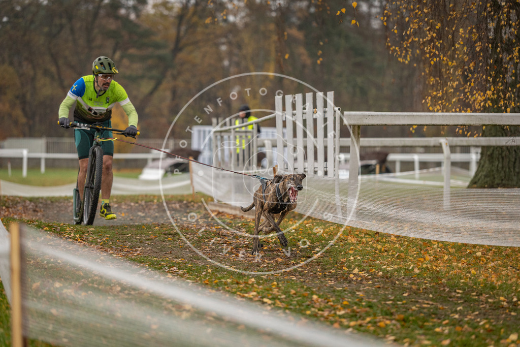 CaniXpix_DV3A8145 | Hundefotografie, Tierfotograf, Pfotenfotografie, Fotoshooting Hund, Hunde Portrait, Hundesport, Hundeportraits, Heideshooting, Hunde, Sportfotograf, Hundefotograf, Turnierhundsport, THS,  - Realisiert mit Pictrs.com
