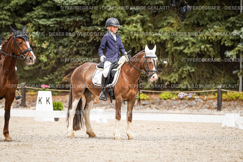 DSC04344 | Pferdegrafie