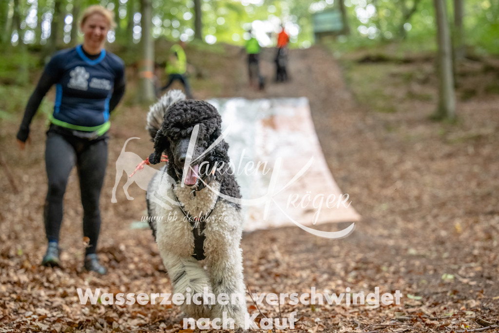 1024_ZZ91852-Bearbeitet | kk-dogfotos