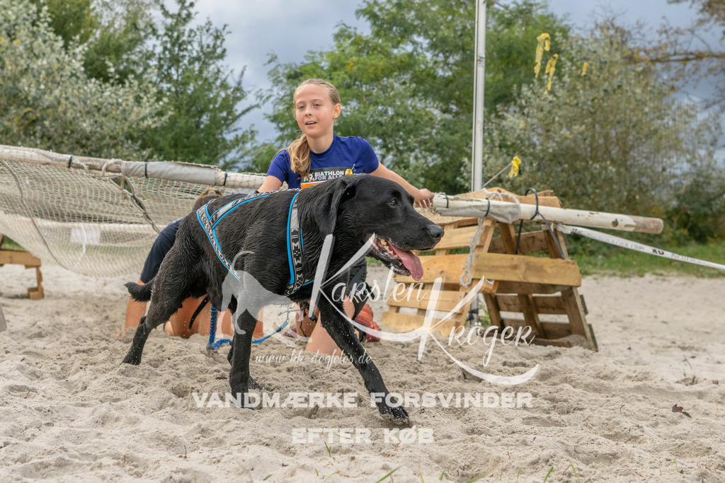 1130_ZZ97301 | kk-dogfotos