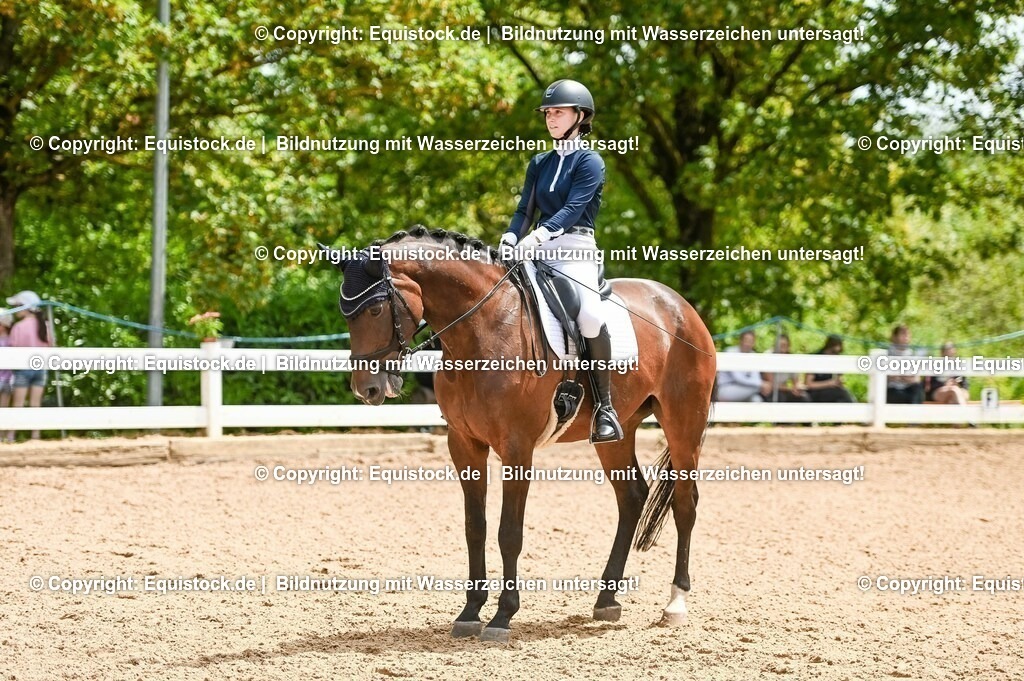 20230716_03_Dressurprfg. Kl.L - Tr._0255 | equistock