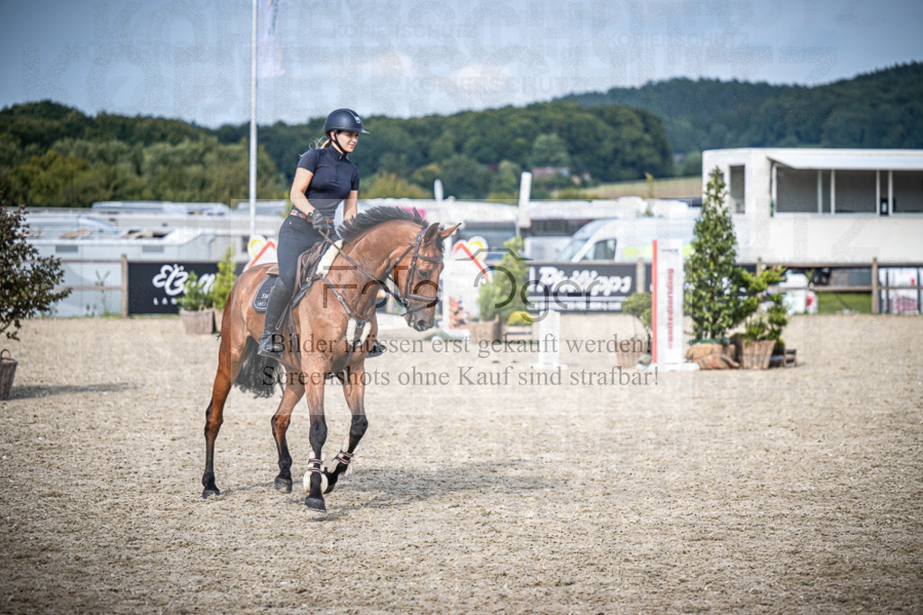 DOS_3099 | Entdecke hochwertige Reitturnierfotos von Foto Oger. Professionell, emotional und authentisch – jetzt Lieblingsmomente im Shop bestellen.Deutschlandweite Turnierfotografie. - Realisiert mit Pictrs.com